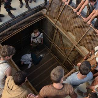 Maze Runner desktop wallpaper