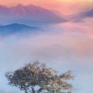 Meditation mobile wallpaper