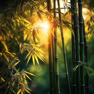 Mobile tree wallpaper