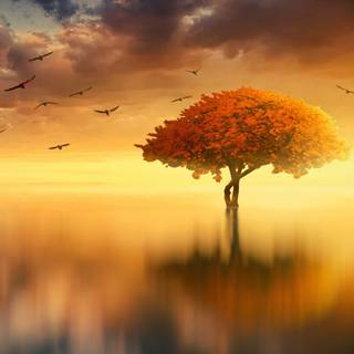 Mobile tree wallpaper