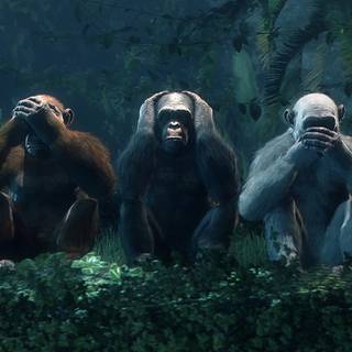 1920x1080 monkeys wallpaper