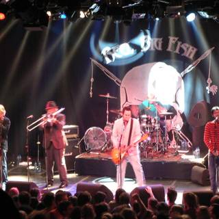 Reel Big Fish wallpaper