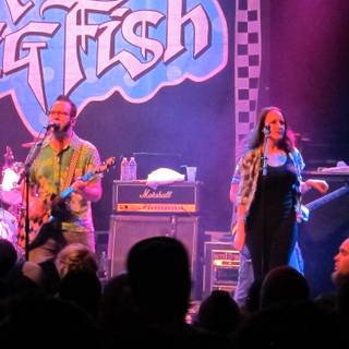 Reel Big Fish wallpaper