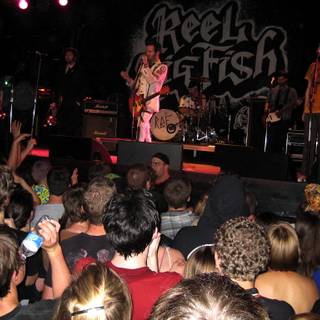 Reel Big Fish wallpaper