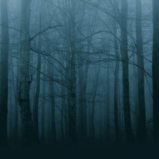 Horror jungle wallpaper