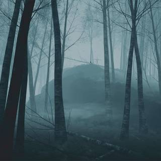 Horror jungle wallpaper