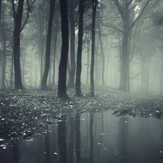 Horror jungle wallpaper