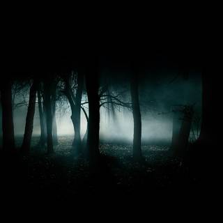 Horror jungle wallpaper