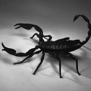 Scorpion PC wallpaper