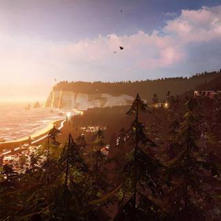 Arcadia Bay wallpaper