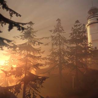 Arcadia Bay wallpaper
