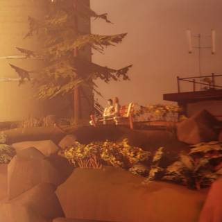 Arcadia Bay wallpaper