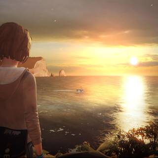 Arcadia Bay wallpaper