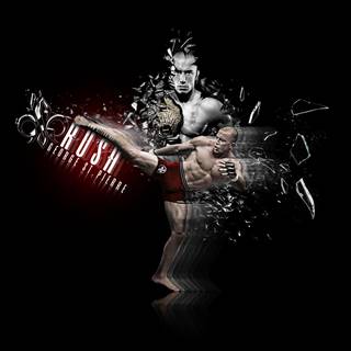 UFC computer wallpaper