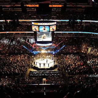 UFC computer wallpaper
