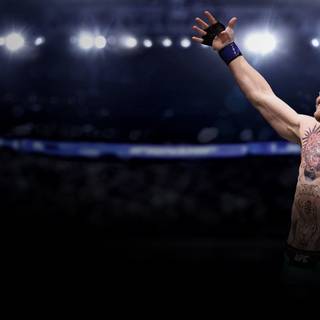 UFC computer wallpaper