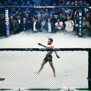 UFC computer wallpaper