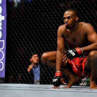 UFC computer wallpaper