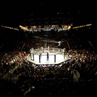 UFC computer wallpaper