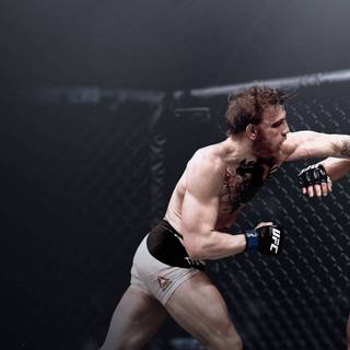UFC computer wallpaper