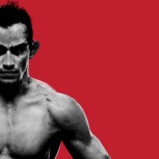 UFC computer wallpaper