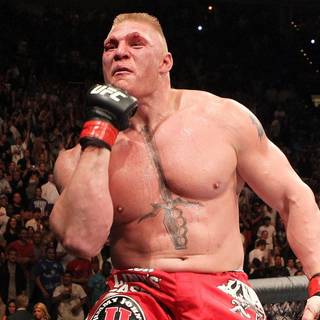 UFC computer wallpaper