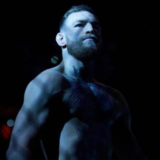 UFC computer wallpaper