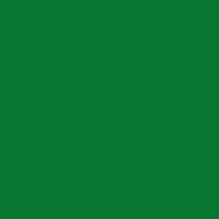 Solid green wallpaper