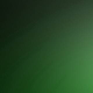 Solid green wallpaper