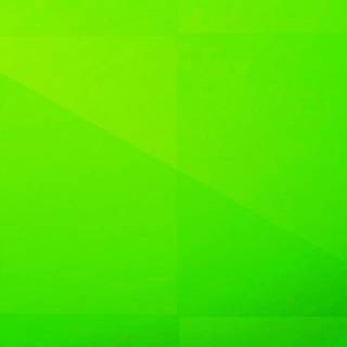 Solid green wallpaper
