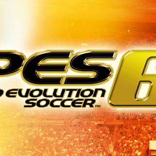 Pro Evolution Soccer 6 wallpaper