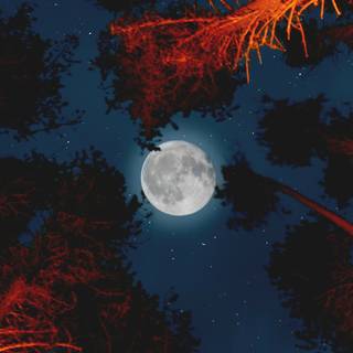 4k moon PC wallpaper