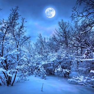 4k moon PC wallpaper