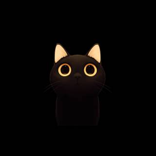 4k dark cat wallpaper