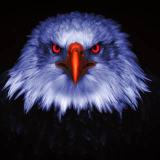 Eagle PC 4k wallpaper