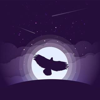 Eagle PC 4k wallpaper