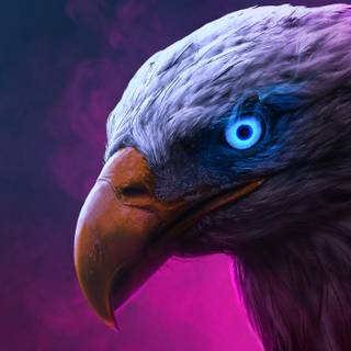 Eagle PC 4k wallpaper