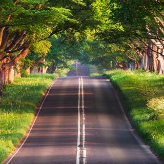 Street 4k iPhone wallpaper