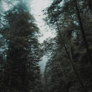 Street 4k iPhone wallpaper