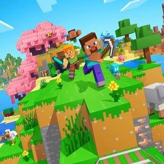 Minecraft Steve iPhone wallpaper