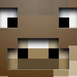 Minecraft Steve iPhone wallpaper