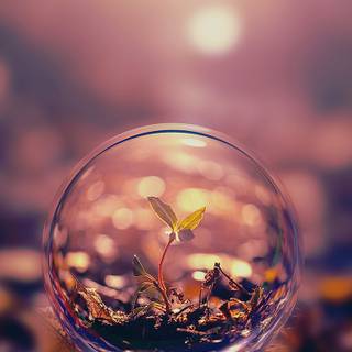 Drop iPhone wallpaper