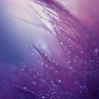 Drop iPhone wallpaper