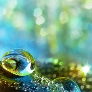 Drop iPhone wallpaper