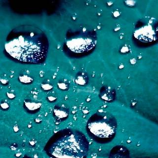 Drop iPhone wallpaper