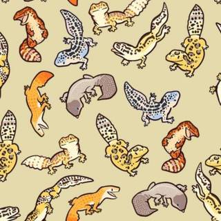 Gecko phone wallpaper