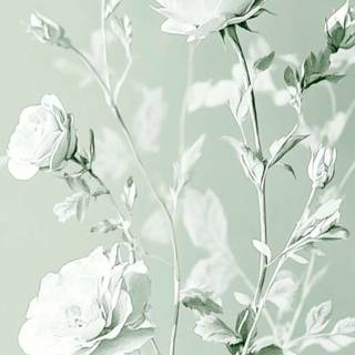 Pastel green phone wallpaper