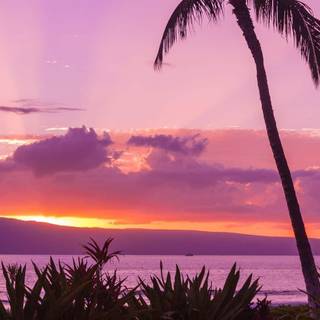 Ocean sunset iPhone wallpaper