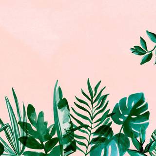 Pink and green desktop wallpaper