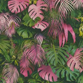 Pink and green desktop wallpaper